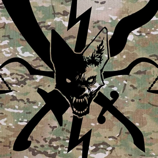 Army Company Patch